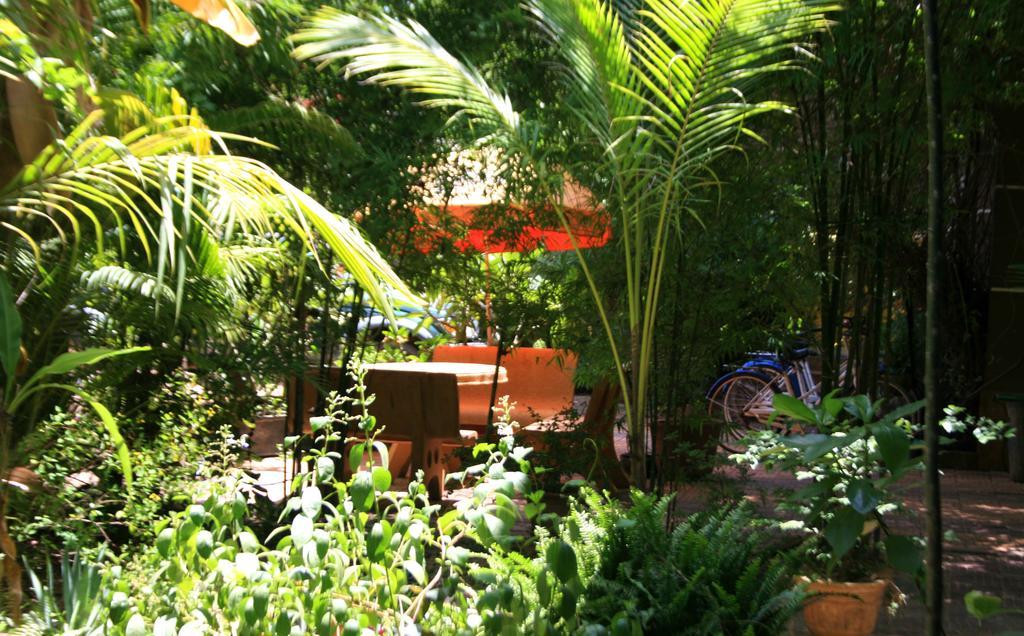 Firefly Guesthouse - The Berlin Angkor Siem Reap Exteriér fotografie