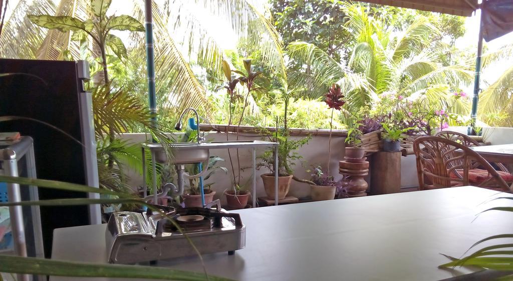 Firefly Guesthouse - The Berlin Angkor Siem Reap Exteriér fotografie