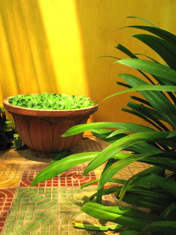 Firefly Guesthouse - The Berlin Angkor Siem Reap Exteriér fotografie