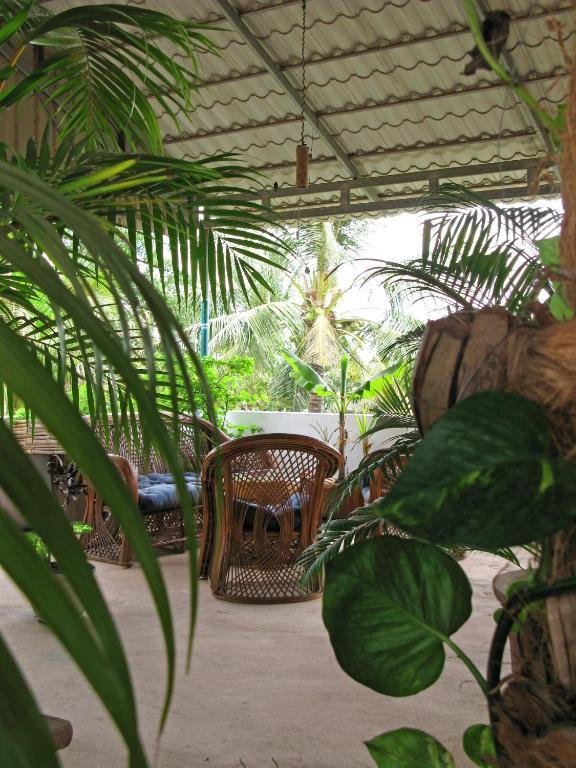 Firefly Guesthouse - The Berlin Angkor Siem Reap Exteriér fotografie